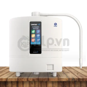 may-ion-kiem-leveluk-k8-2