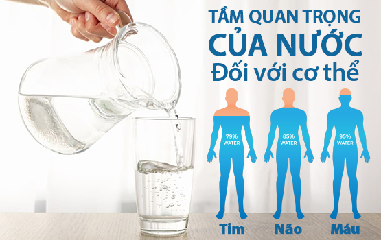 Tầm Quan Trọng Của Nước Đối Với Cơ Thể Con Người