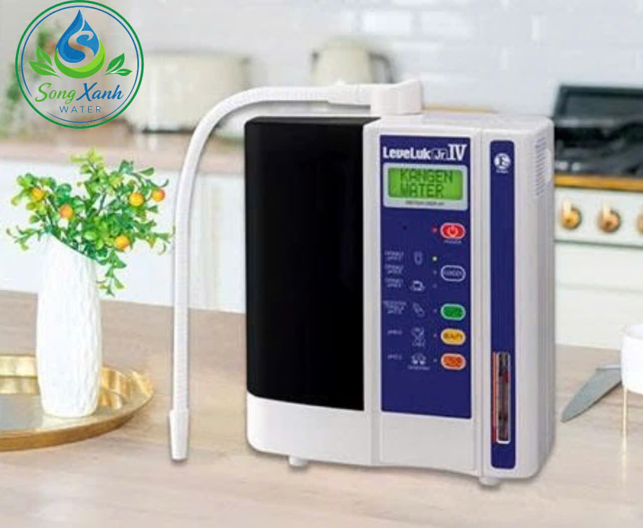 Kangen JRIV Enagic Nhật Bản